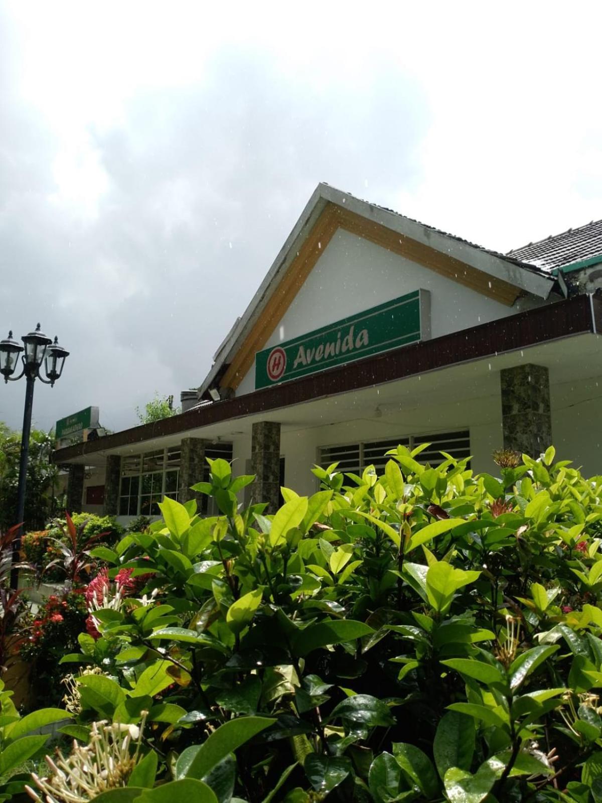 Hotel Avenida53 バランキージャ エクステリア 写真